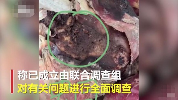 山东烟台通报幼儿园用生蛆淋巴肉！多部门组成联合调查组