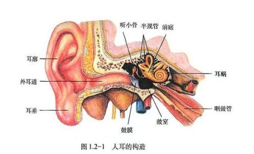 鼻窦囊肿