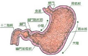 慢性胃炎