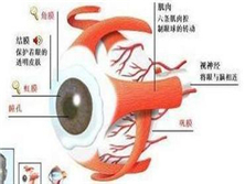 上斜肌腱鞘綜合征