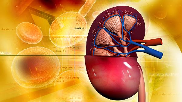 腎損傷怎樣治療好得快一點(diǎn)