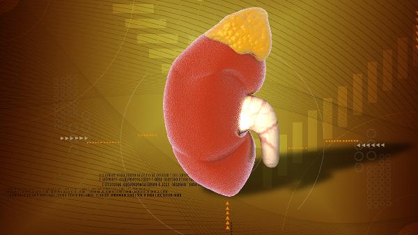 腎功能衰退是怎么回事