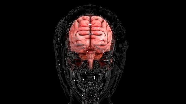 先天性腦萎縮原因有哪些 先天性腦萎縮3個原因清楚知道