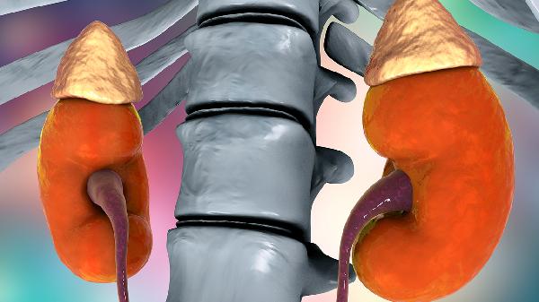 急性腎小球腎炎和慢性腎小球腎炎癥狀上有什么不同 介紹腎小球腎炎的主要表現(xiàn)