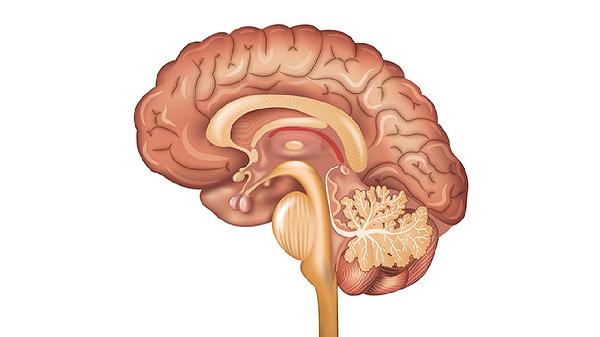 15歲孩子得腦瘤什么原因造成的