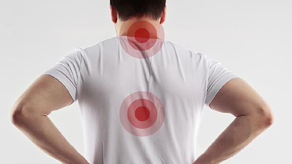 吃腰子到底对男性肾功能有没有用