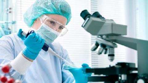 再生障碍性贫血的实验室检查