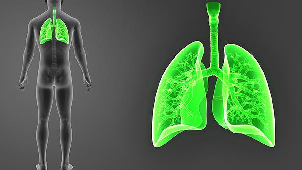 37岁男子确诊肺癌，嚎啕大哭：我的身体已经提示我了，我没当回事