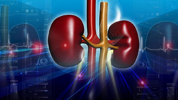 胎兒先天性腎囊腫生下來能治好嗎