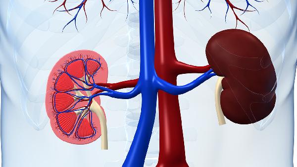 膜性腎病可以游泳嗎 膜性腎病適合這幾種運(yùn)動