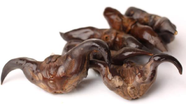 尿酸高可以吃菱角嗎