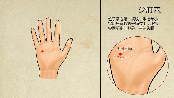 中医的感冒分型有哪些