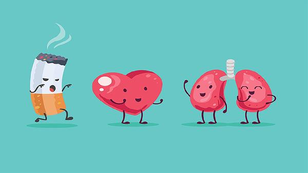 胆汁是哪个器官分泌出来的