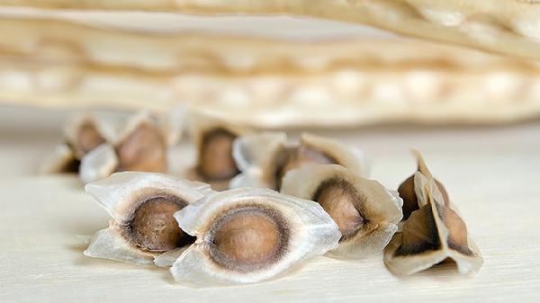 肛門(mén)口有個(gè)軟軟的肉疙瘩是什么?