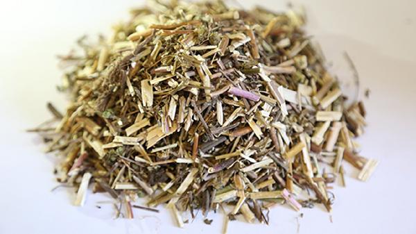 荆芥的作用与功效