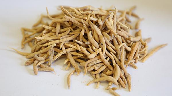 太子参的功效与作用