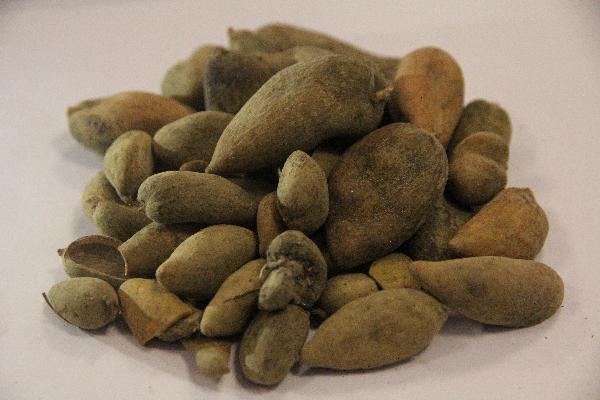 中药凉了怎么加热