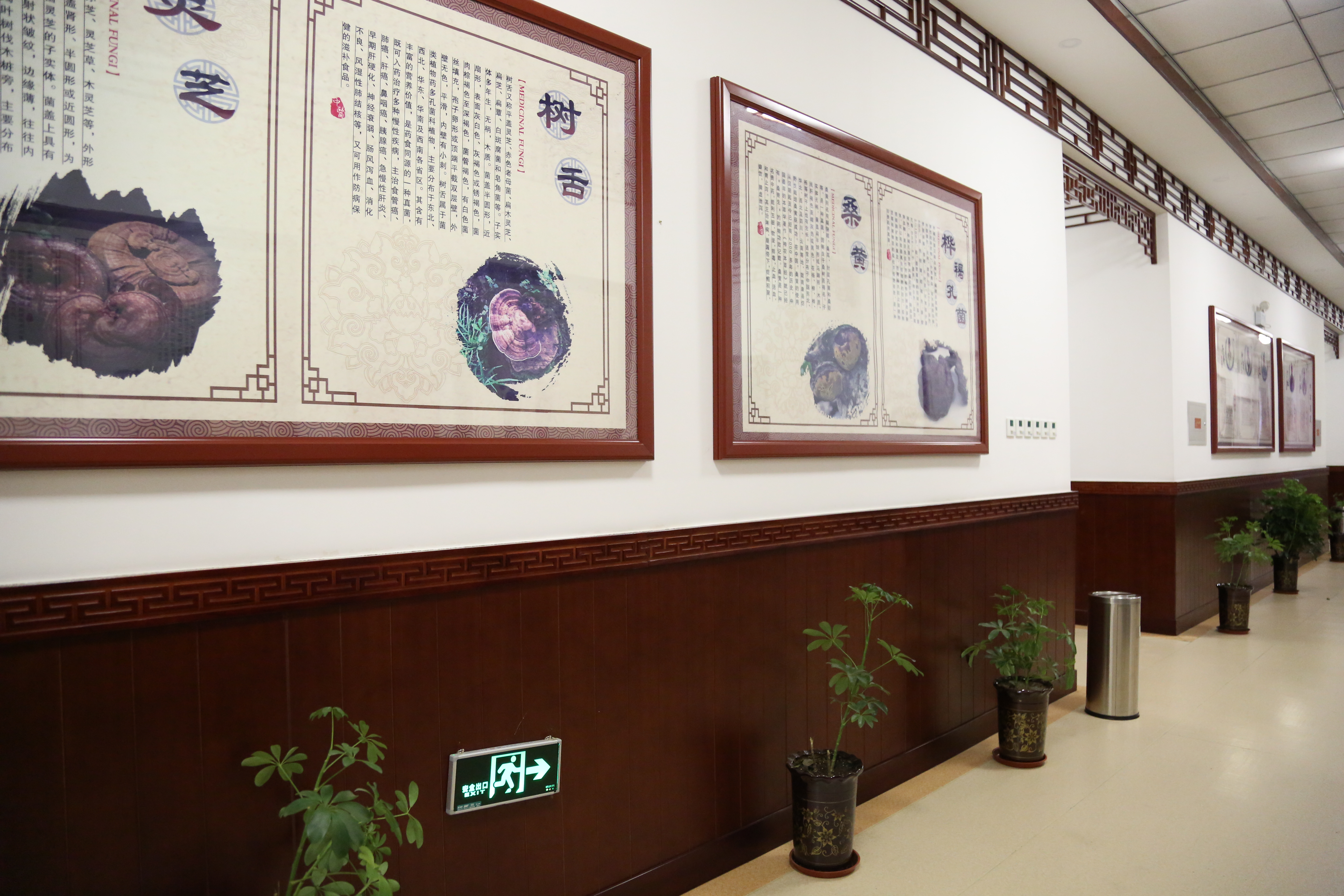 莱芜哪家医院治扁桃体炎比较好