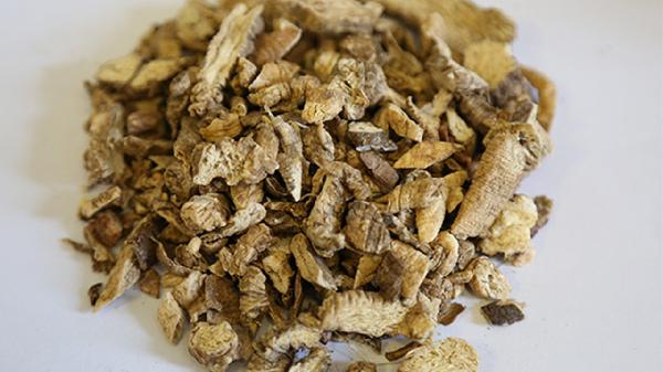 金蝉花的功效与作用的功能与主治