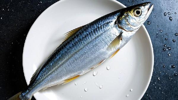 怎樣挑品質(zhì)好的帶魚(yú)
