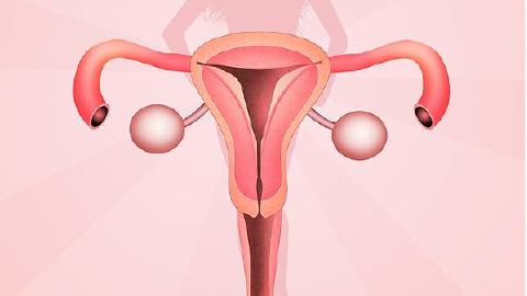 女性患有子宫肌瘤的诊断检查