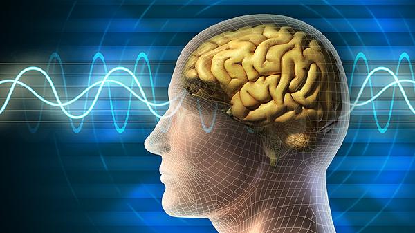 腦震蕩需要吃什么食物