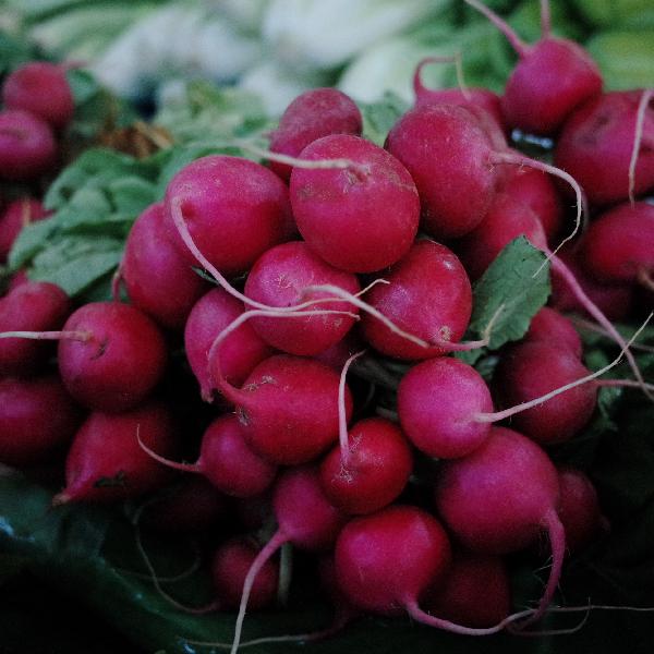 怎样去掉萝卜中的怪味儿