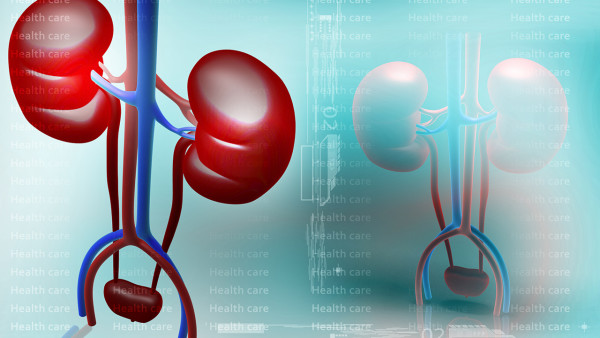 傷腎藥名單:這六種中西藥可能毒腎臟