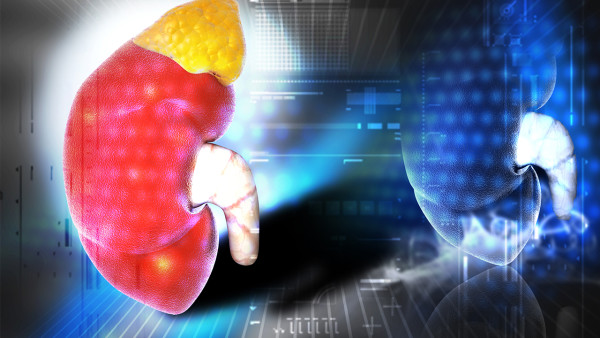 身體有這五種表現 說(shuō)明腎臟還沒(méi)有危害