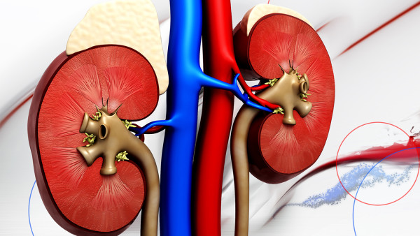 尿常規能檢查出什么病 尿常規2種異常結果要警惕