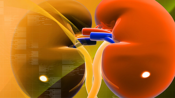 公务员尿检如何合格