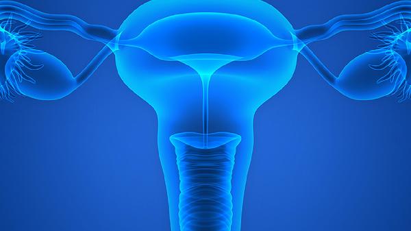 接種宮頸癌疫苗需要考慮哪些影響因素