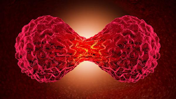 前庭大腺囊腫的癥狀有哪些