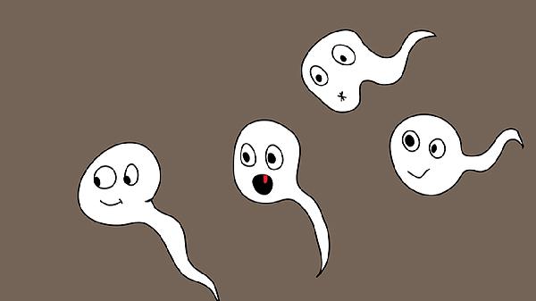 吃什么提高精子質(zhì)量和數(shù)量最好