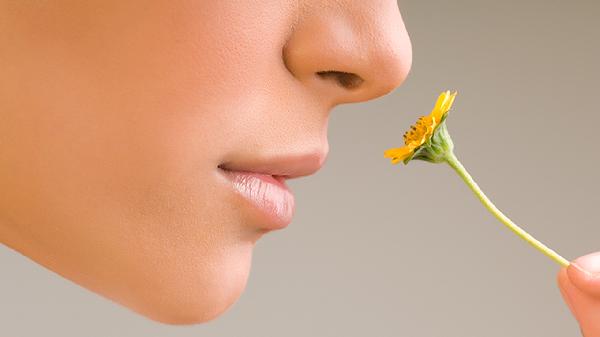 改脸型大概需要多少钱