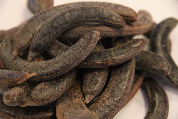 中藥斂汗藥有哪些