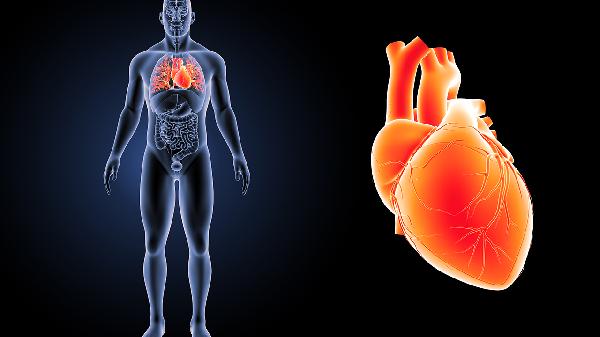 臉頰兩側(cè)代表什么器官