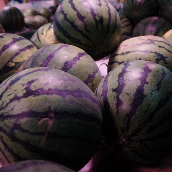 睡前吃西瓜會(huì )胖嗎