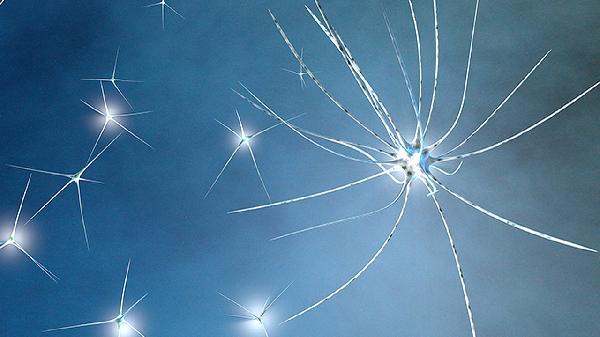 感染人乳頭病毒多久可以查出來