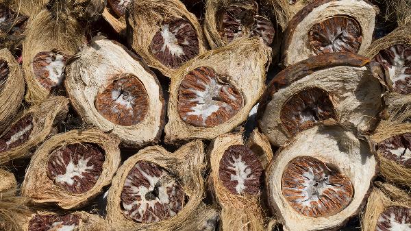 什么水果耐放不易壞呢