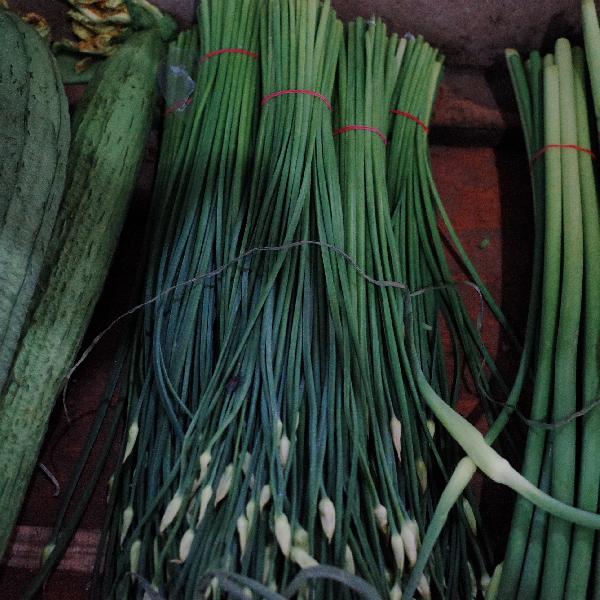 青菜如何去除農藥殘留