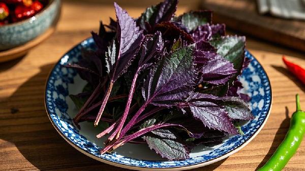 紫蘇葉有哪些作用