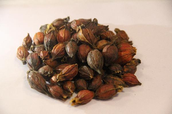 代謝慢在中醫上叫什么