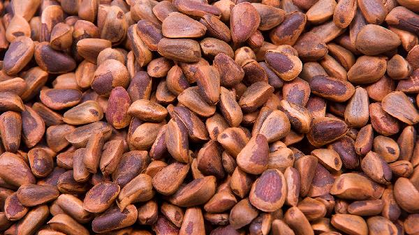 吃松子口苦怎么回事