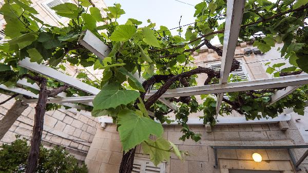 干紅葡萄酒怎么分真假鑒別