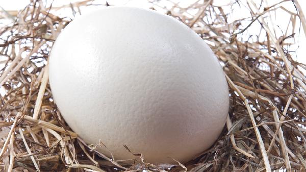 練腹肌補充蛋白質(zhì)吃什么東西最好