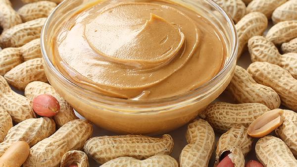 養的花生小飛蟲(chóng)怎么治