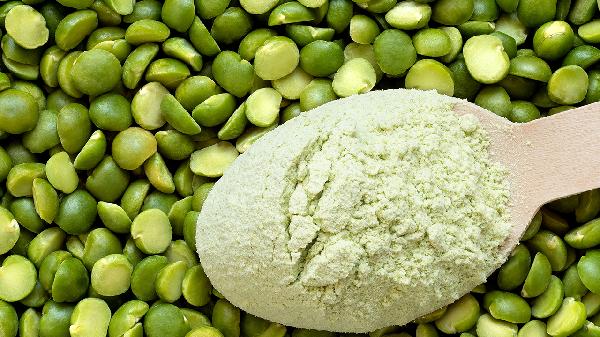 飲食調(diào)理很重要嗎