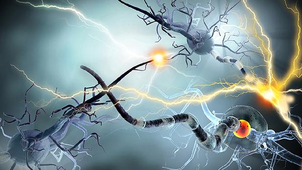 最強抗病毒中藥第一名