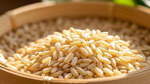 吃一個(gè)月糙米飯能減幾斤啊女生